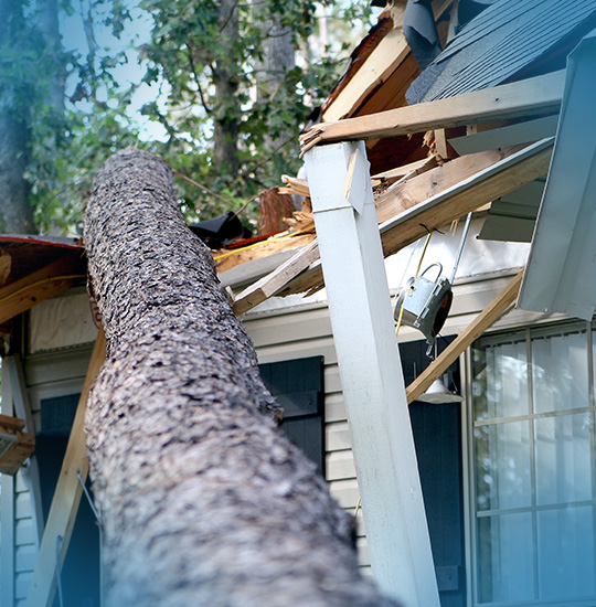 Wind & Storm Damage
