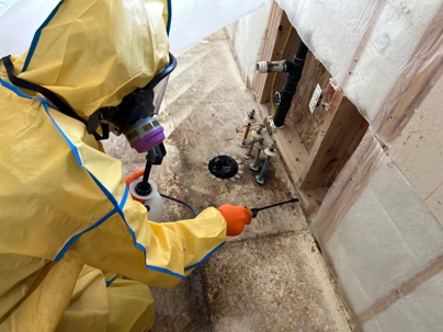 Mold Treatment