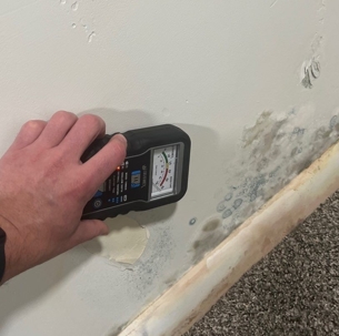 mold and water damage