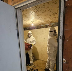 Mold Remediation